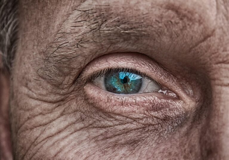 skin, eye, iris, blue, older, folds, wrinkled skin, man, face, portrait, human, old, green, eyebrow, lid, people, character, view, focus, focused, pupil, eyesight, lens, visually, watch, look at, see, vision, visionary, skin, eye, eye, eye, eye, eye, man, man, human, old, people, people, people